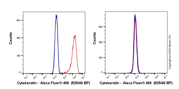 Flow Cytometry (Intracellular) - Alexa Fluor® 488 Anti-pan Cytokeratin antibody [C-11] (AB277270)