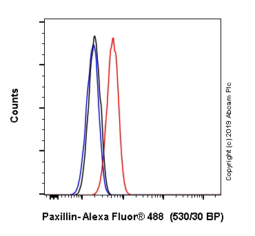 Flow Cytometry (Intracellular) - Alexa Fluor® 488 Anti-Paxillin antibody [Y113] (AB246718)