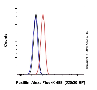 Flow Cytometry (Intracellular) - Alexa Fluor® 488 Anti-Paxillin antibody [Y113] (AB246718)