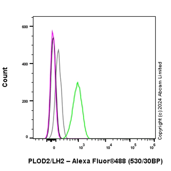 Flow Cytometry (Intracellular) - Alexa Fluor® 488 Anti-PLOD2/LH2 antibody [EPR25160-22] (AB322320)