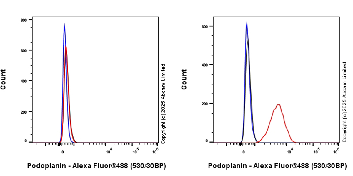Flow Cytometry - Alexa Fluor® 488 Anti-Podoplanin antibody [EPR27193-535] (AB323896), expandable thumbnail