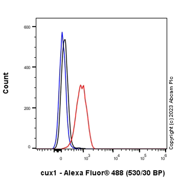 Flow Cytometry - Alexa Fluor® 488 Anti-Protein CASP antibody [EPR18806] (AB312894)