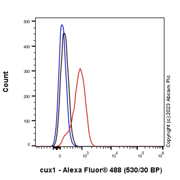 Flow Cytometry - Alexa Fluor® 488 Rabbit IgG, monoclonal [EPR25A] - Isotype Control (AB199091)