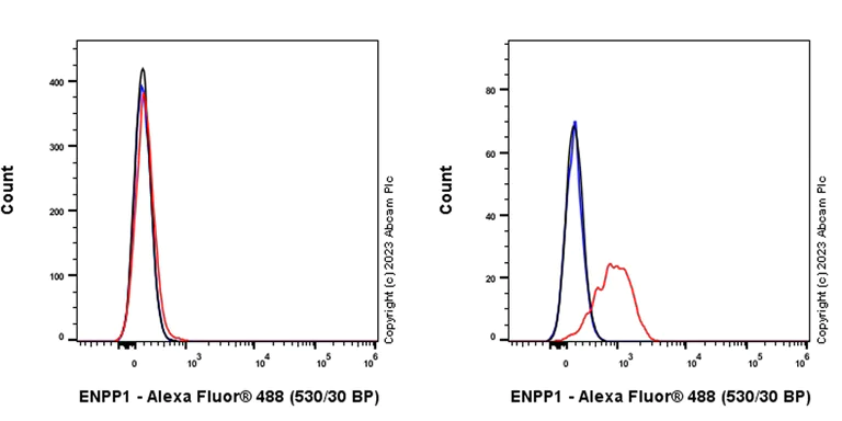 Flow Cytometry - Alexa Fluor® 488 Rabbit IgG, monoclonal [EPR25A] - Isotype Control (AB199091)