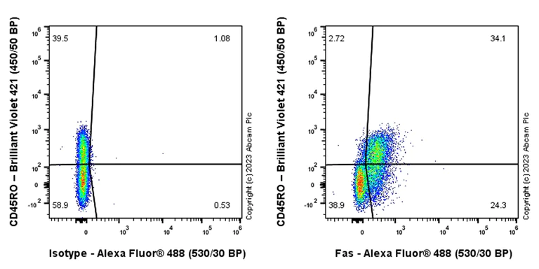 Flow Cytometry - Alexa Fluor® 488 Rabbit IgG, monoclonal [EPR25A] - Isotype Control (AB199091)