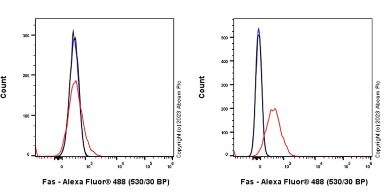 Flow Cytometry - Alexa Fluor® 488 Rabbit IgG, monoclonal [EPR25A] - Isotype Control (AB199091)