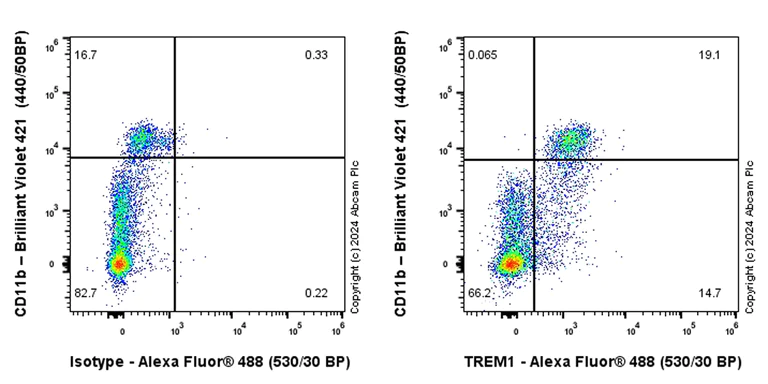 Flow Cytometry - Alexa Fluor® 488 Rabbit IgG, monoclonal [EPR25A] - Isotype Control (AB199091)