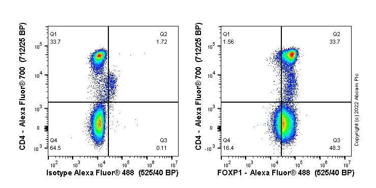 Flow Cytometry (Intracellular) - Alexa Fluor® 488 Rabbit IgG, monoclonal [EPR25A] - Isotype Control (AB199091)