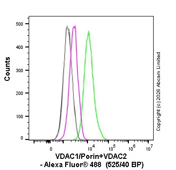 Flow Cytometry (Intracellular) - Alexa Fluor® 488 Rabbit IgG, monoclonal [EPR25A] - Isotype Control (AB199091)