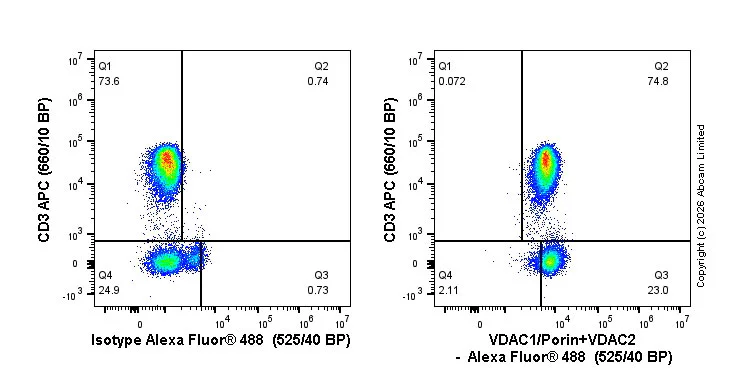 Flow Cytometry (Intracellular) - Alexa Fluor® 488 Rabbit IgG, monoclonal [EPR25A] - Isotype Control (AB199091)