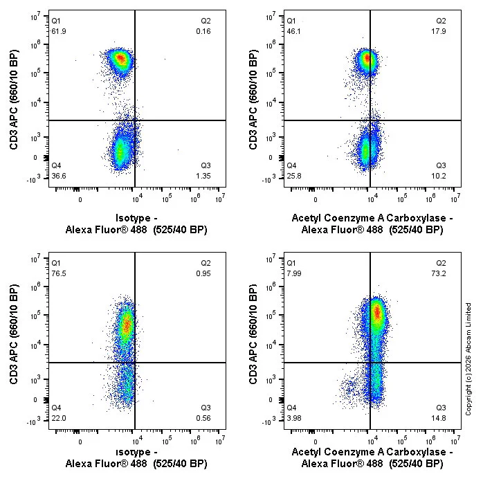 Flow Cytometry (Intracellular) - Alexa Fluor® 488 Rabbit IgG, monoclonal [EPR25A] - Isotype Control (AB199091)