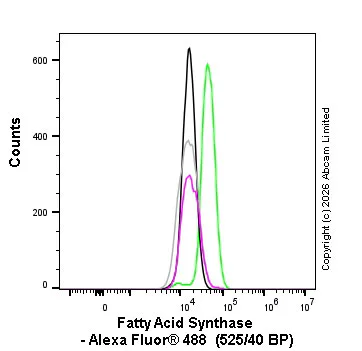 Flow Cytometry (Intracellular) - Alexa Fluor® 488 Rabbit IgG, monoclonal [EPR25A] - Isotype Control (AB199091)