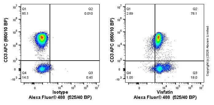 Flow Cytometry (Intracellular) - Alexa Fluor® 488 Rabbit IgG, monoclonal [EPR25A] - Isotype Control (AB199091)