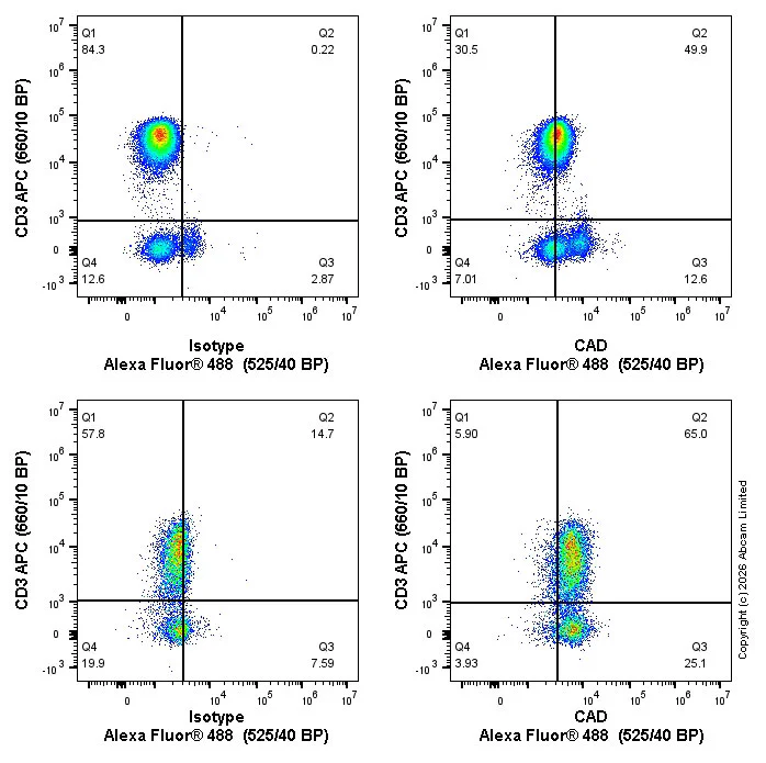 Flow Cytometry (Intracellular) - Alexa Fluor® 488 Rabbit IgG, monoclonal [EPR25A] - Isotype Control (AB199091)