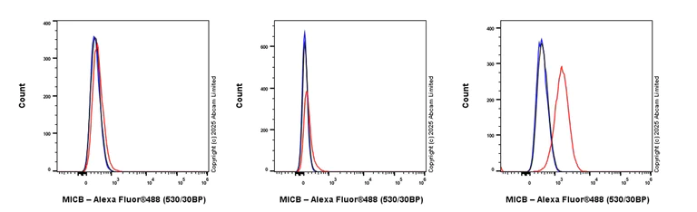 Flow Cytometry - Alexa Fluor® 488 Rabbit monoclonal [EPR26362-65] to MICB (AB323890)
