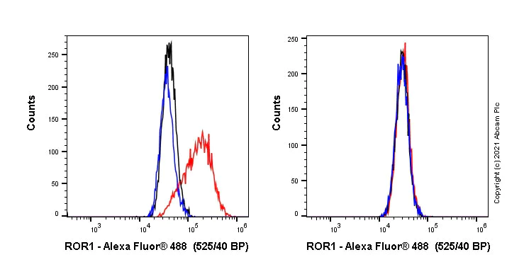 Flow Cytometry (Intracellular) - Alexa Fluor® 488 Anti-ROR1 antibody [EPR24451-141] (AB281762)