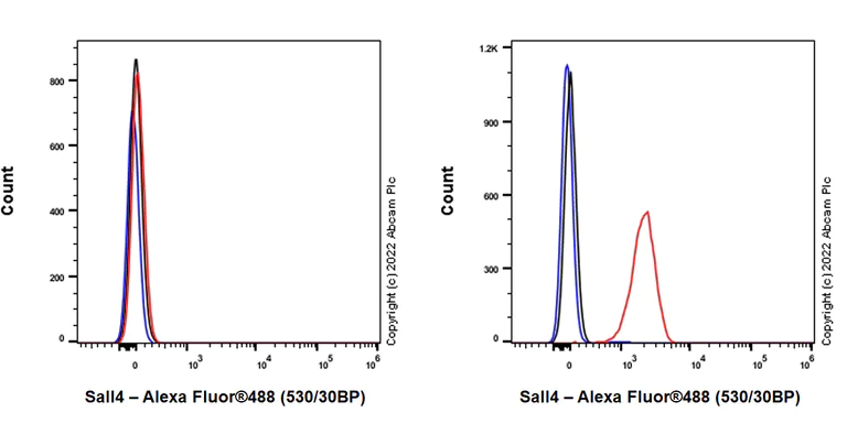 Flow Cytometry (Intracellular) - Alexa Fluor® 488 Anti-Sall4 antibody [SP289] (AB307397)
