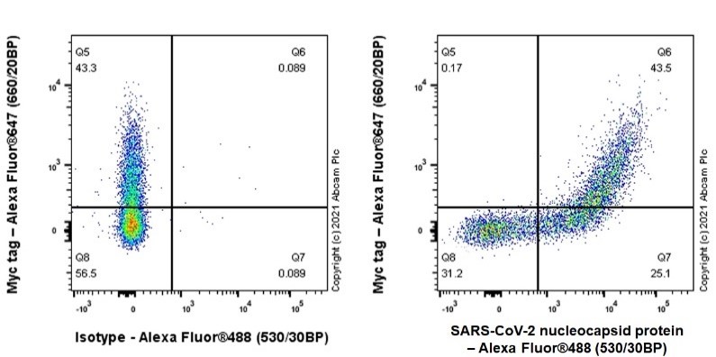 Flow Cytometry (Intracellular) - Alexa Fluor® 488 Anti-SARS-CoV-2 nucleocapsid protein antibody [EPR24334-118] (AB283243), expandable thumbnail