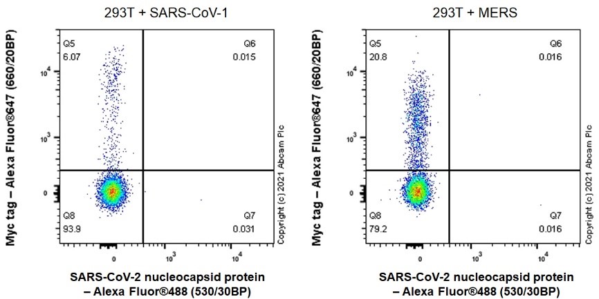 Flow Cytometry (Intracellular) - Alexa Fluor® 488 Anti-SARS-CoV-2 nucleocapsid protein antibody [EPR24334-118] (AB283243), expandable thumbnail