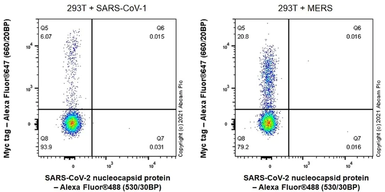 Flow Cytometry (Intracellular) - Alexa Fluor® 488 Anti-SARS-CoV-2 nucleocapsid protein antibody [EPR24334-118] (AB283243)