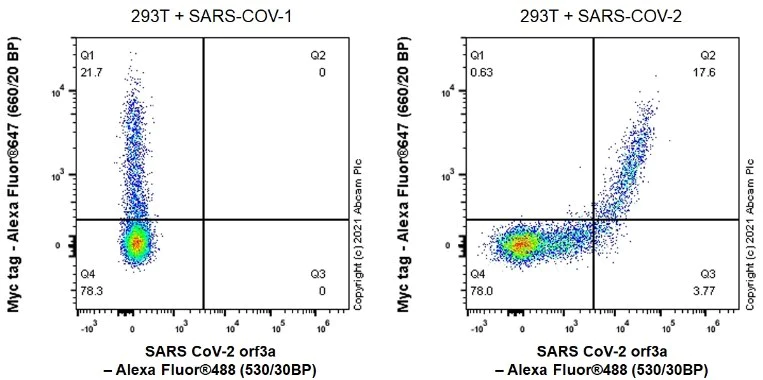 Flow Cytometry (Intracellular) - Alexa Fluor® 488 Anti-SARS CoV-2 ORF3a Protein antibody [EPR24848-9] (AB282161)