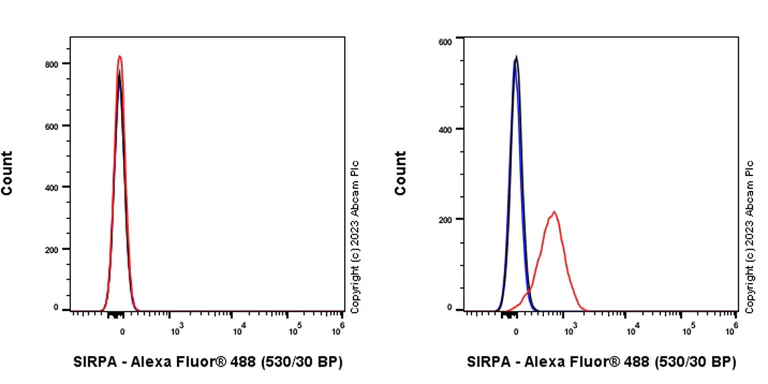 Flow Cytometry - Alexa Fluor® 488 Anti-SIRP alpha antibody [EPR22930-163] (AB312902)