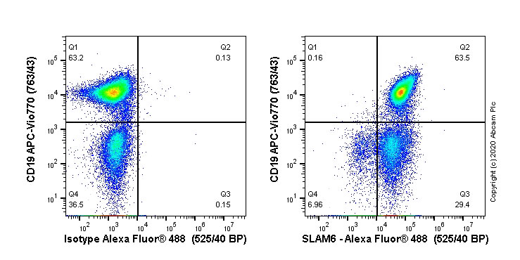 Flow Cytometry - Alexa Fluor® 488 Anti-SLAMF6 antibody [EPR23122-130] (AB270172), expandable thumbnail