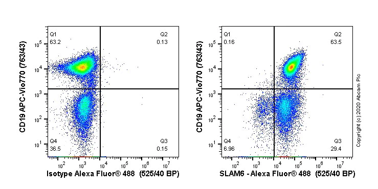 Flow Cytometry - Alexa Fluor® 488 Anti-SLAMF6 antibody [EPR23122-130] (AB270172)
