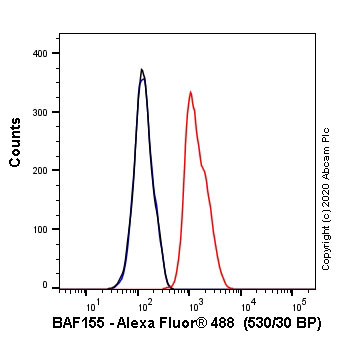 Flow Cytometry (Intracellular) - Alexa Fluor® 488 Anti-SMARCC1/BAF155 antibody [EPR12395] (AB237172)