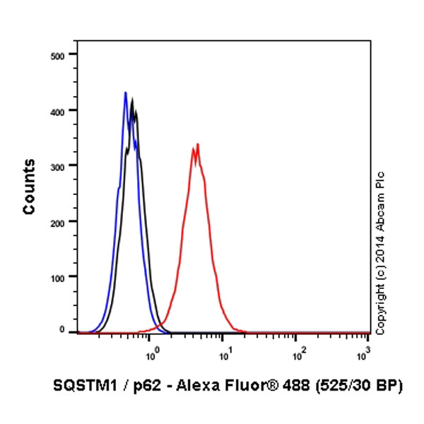 Flow Cytometry (Intracellular) - Alexa Fluor® 488 Anti-SQSTM1 / p62 antibody [EPR4844] - Autophagosome Marker (AB185015), expandable thumbnail