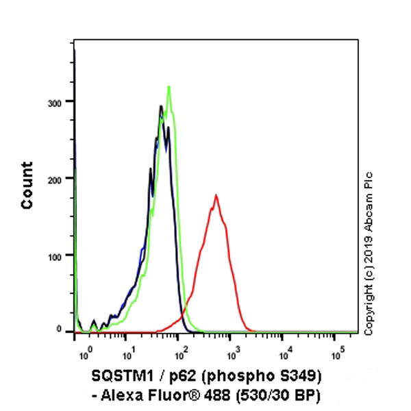 Flow Cytometry (Intracellular) - Alexa Fluor® 488 Anti-SQSTM1 / p62 (phospho S349) antibody [EPR20451] (AB237322)