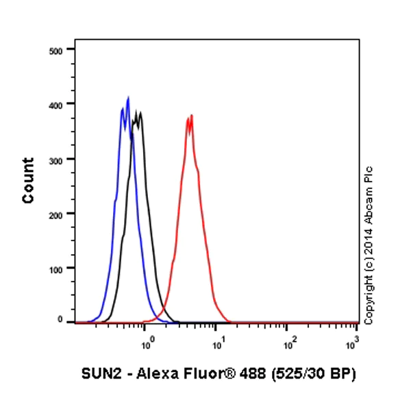 Flow Cytometry (Intracellular) - Alexa Fluor® 488 Anti-SUN2 antibody [EPR6557] (AB198981)