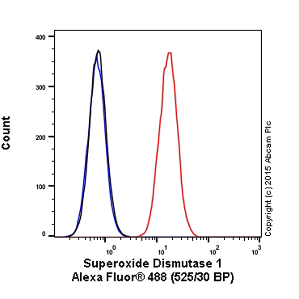 Flow Cytometry (Intracellular) - Alexa Fluor® 488 Anti-Superoxide Dismutase 1 antibody [EP1727Y] (AB199733), expandable thumbnail