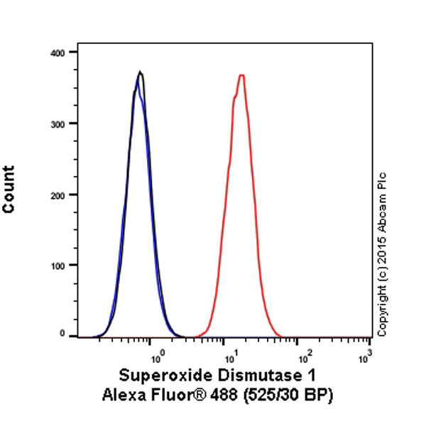 Flow Cytometry (Intracellular) - Alexa Fluor® 488 Anti-Superoxide Dismutase 1 antibody [EP1727Y] (AB199733)