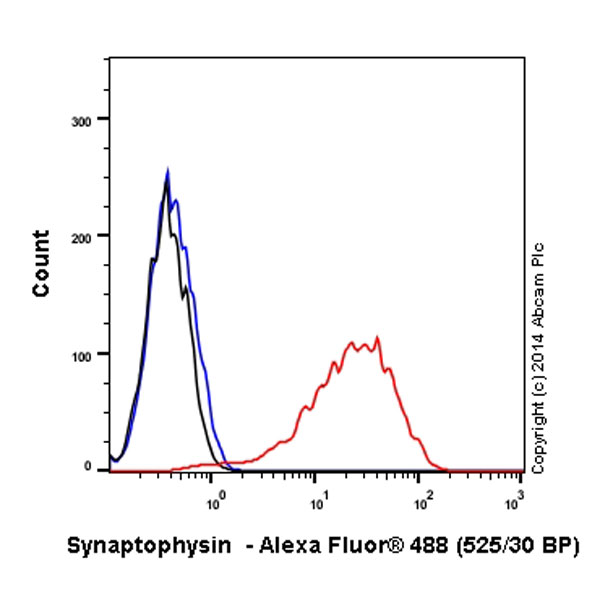 Flow Cytometry - Alexa Fluor® 488 Anti-Synaptophysin antibody [YE269] - Synaptic Marker (AB196379), expandable thumbnail