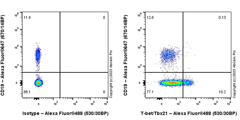 Flow Cytometry (Intracellular) - Alexa Fluor® 488 Anti-T-bet / Tbx21 antibody [EPR27094-16] (AB315424)