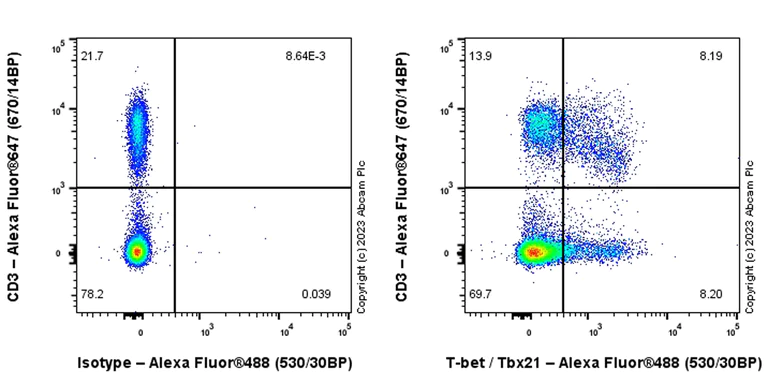 Flow Cytometry (Intracellular) - Alexa Fluor® 488 Anti-T-bet / Tbx21 antibody [EPR27094-16] (AB315424)