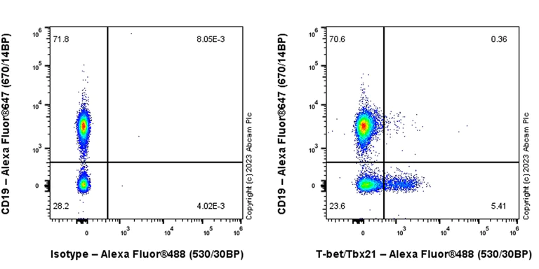 Flow Cytometry (Intracellular) - Alexa Fluor® 488 Anti-T-bet / Tbx21 antibody [EPR27094-16] (AB315424)