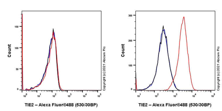 Flow Cytometry - Alexa Fluor® 488 Anti-TIE2 antibody [33] (AB283343)