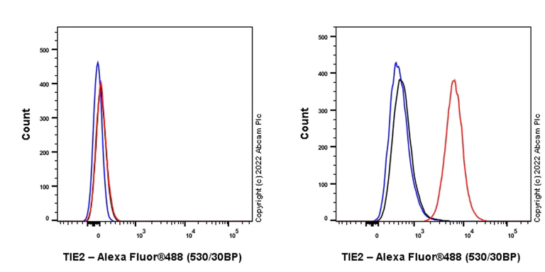 Flow Cytometry (Intracellular) - Alexa Fluor® 488 Anti-TIE2 antibody [EPR21915] (AB307374)