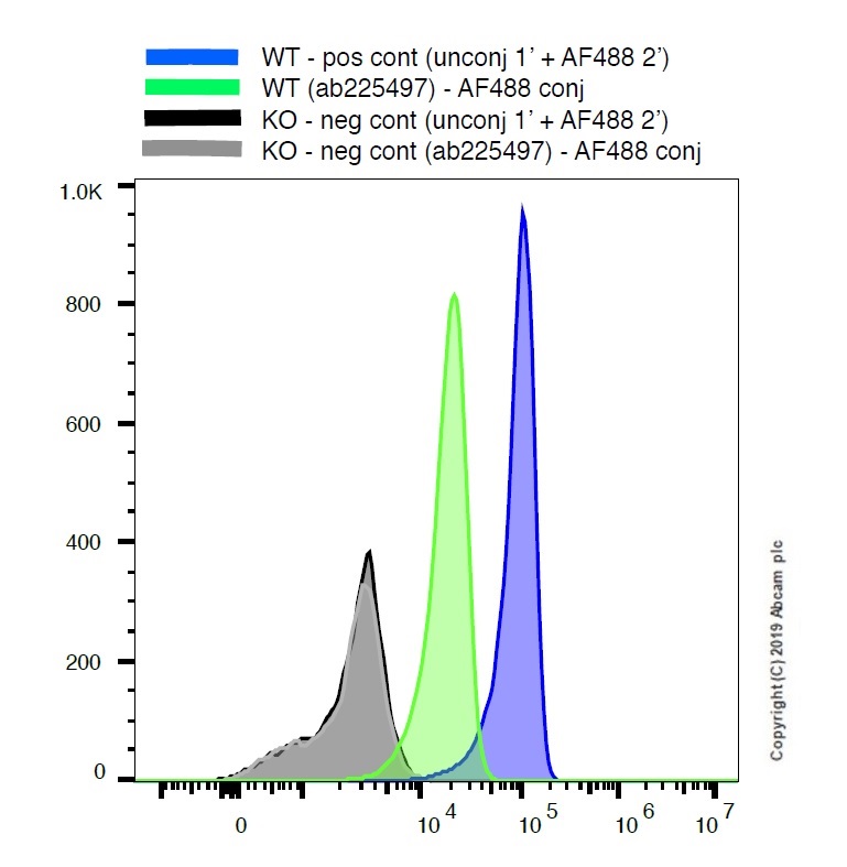 Flow Cytometry (Intracellular) - Alexa Fluor® 488 Anti-TMEM119 antibody [106-6] - Microglial marker (AB225497), expandable thumbnail