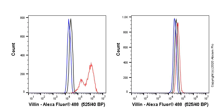 Flow Cytometry - Alexa Fluor® 488 Anti-Villin antibody [SP145] (AB270921)