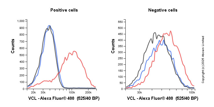 Flow Cytometry (Intracellular) - Alexa Fluor® 488 Anti-Vinculin antibody [EPR8185] (AB196454)