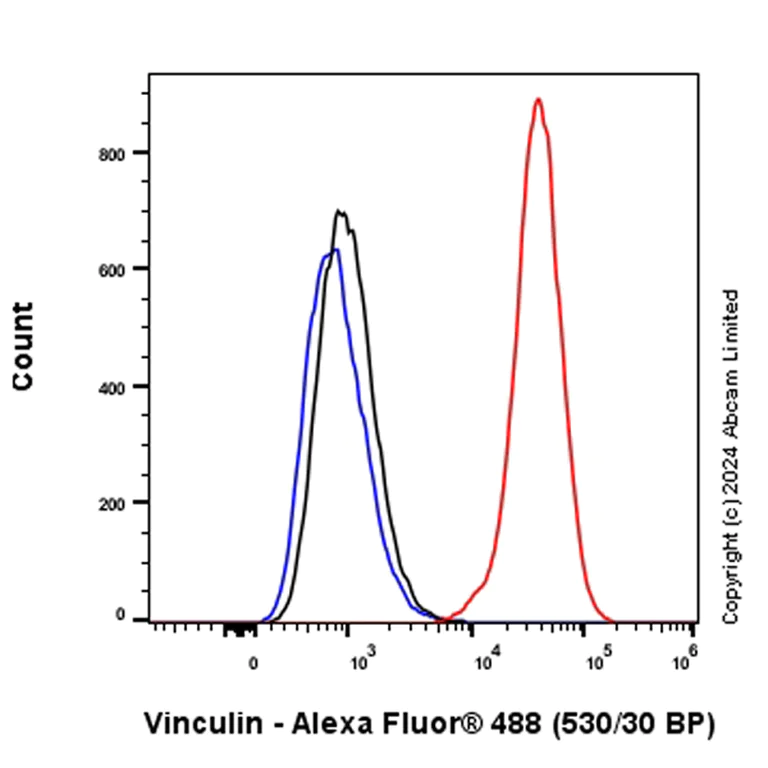 Flow Cytometry (Intracellular) - Alexa Fluor® 488 Anti-Vinculin antibody [EPR8185] (AB196454)