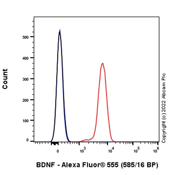 Flow Cytometry (Intracellular) - Alexa Fluor® 555 Anti-BDNF antibody [EPR1292] (AB305366)
