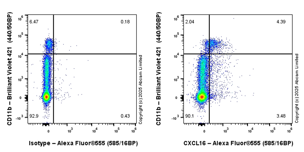 Flow Cytometry - Alexa Fluor® 555 Anti-CXCL16 antibody [EPR29713-506] (AB324079), expandable thumbnail