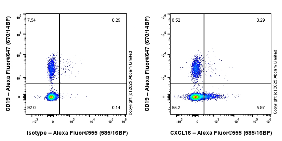 Flow Cytometry - Alexa Fluor® 555 Anti-CXCL16 antibody [EPR29713-506] (AB324079), expandable thumbnail