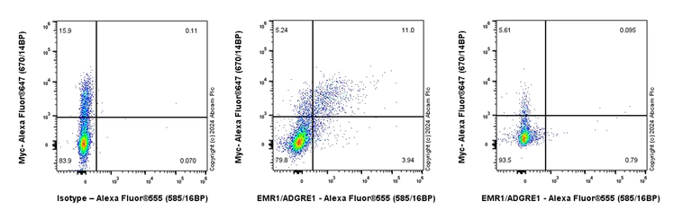Flow Cytometry - Alexa Fluor® 555 Rabbit IgG, monoclonal [EPR25A] - Isotype Control (AB208569)