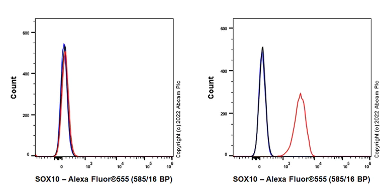 Flow Cytometry (Intracellular) - Alexa Fluor® 555 Anti-SOX10 antibody [SP267] (AB307763)