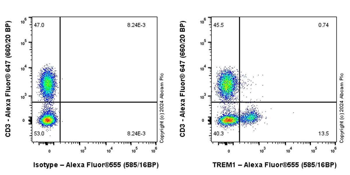Flow Cytometry - Alexa Fluor® 555 Anti-TREM1 antibody [EPR26207-34] (AB316942), expandable thumbnail